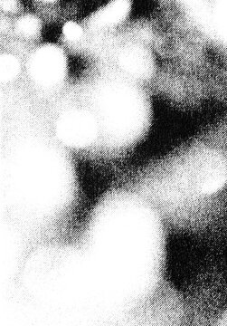 Large overlapping organic forms appear softly blurred in a monochrome printed halftone texture.