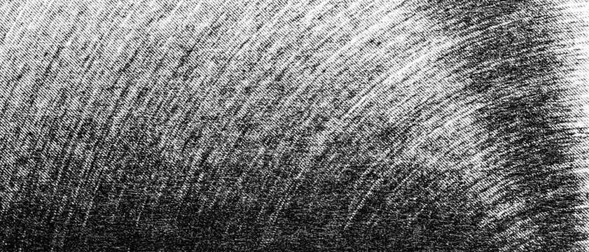 Dense curved monochrome grain sweeps across the frame with authentic printed halftone texture.