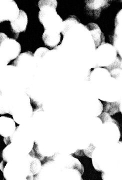 Rounded organic forms create a bold monochrome halftone pattern on transparency.