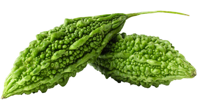 bitter gourd, bitter melon, karela, green bitter gourd, fresh vegetable, gourd PNG, tropical vegetable, PNG