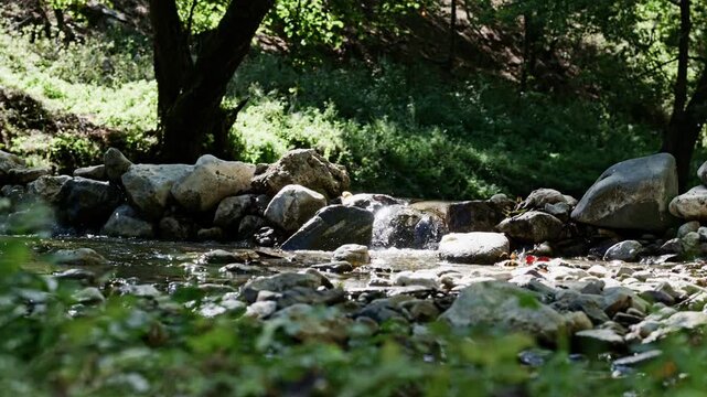 Seamless loop of stone weir on Gradac river in forest