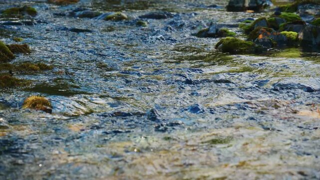 Rapid, clear water flows over mossy stones in shallow stream. Sunlight glints off ripples, highlighting textures. Ideal for nature documentaries or environmental themes.