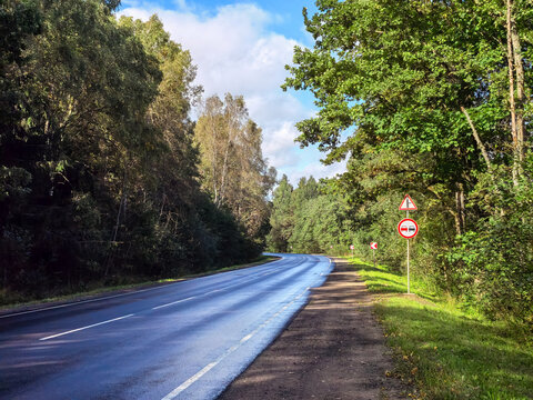 Curved forest road with no overtaking and T-junction signs