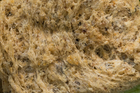 Close-up of Thai fluffy fried catfish (pla duk foo), crispy deep-fried shredded catfish with golden texture. Popular Thai street food known for its light and airy crunch.