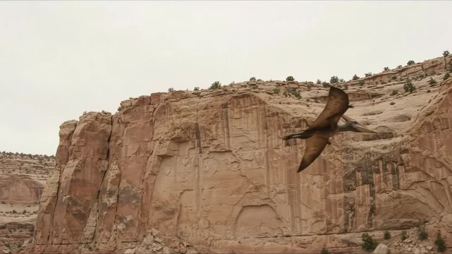 Prehistoric Pterosaur Glides Past Sandstone Cliff Face in Desert Canyon