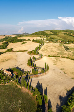 La route bord&eacute;e de cypr&egrave;s dans la campagne de Monticchiello