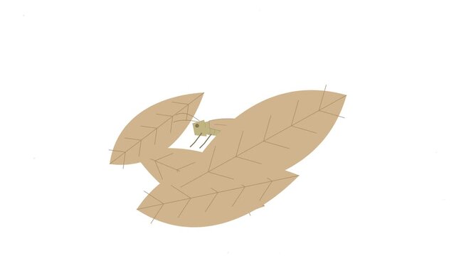 Minimalist Vector Illustration of a Camouflaged Leaf Insect Blending Into Dry Autumnal Foliage on a Simple Clean Isolated Background