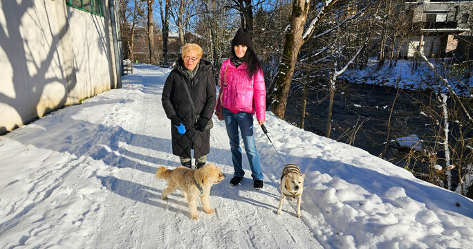 Frauen mit ihren Hunden im Winterurlaub 