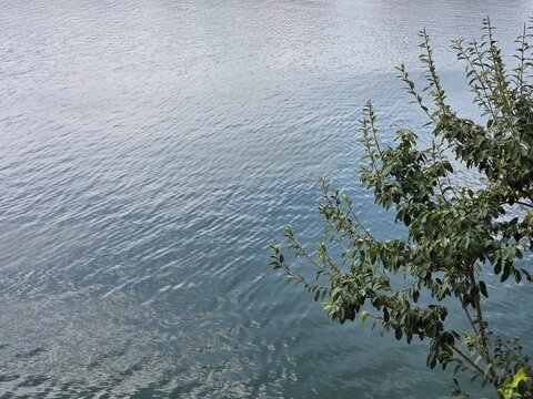 reflection in water