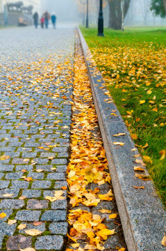 Autumn city park background. A cobblestone path with a stone curb line. Yellow fallen leaves along the edge and green grass with blurred people in the distance