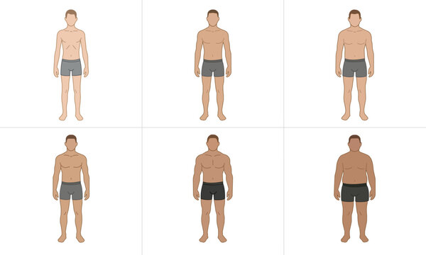 Male Body Types and Somatotypes Set, Ectomorph Mesomorph Endomorph Slim Athletic Muscular and Plus Size Figures Illustration, Male Body Shape Comparison Icons Vector, Men Physique and Fitness