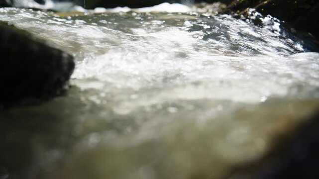 Close-up of rushing, clear mountain stream water flowing over rocks. Sunlight glints on turbulent surface, creating sparkling reflections. Mossy stones frame natural water movement