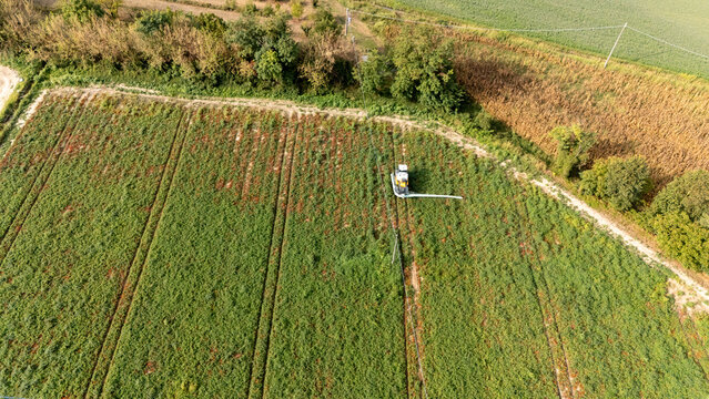 Aerial view of a tractor spraying treatments on a tomato field in the rural landscape of Castelvetro Piacentino, Emilia-Romagna, Italy.