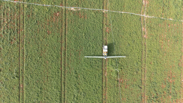 Aerial view of an agricultural sprayer treating a green tomato field with irrigation lines visible in Castelvetro Piacentino, Emilia-Romagna, Italy.