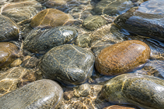 Smooth kidney-shaped river stones resting in clear water, natural rounded forms with wet glistening surfaces under soft daylight.