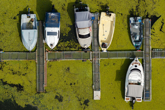 Aerial view of several motorboats and a yacht moored at a metal pier in water covered with dense green algae in Poland.