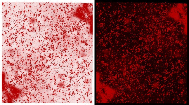 Abstract red blood cell texture, microscopic biological particles on white and black background, medical science illustration of bacteria or virus cells