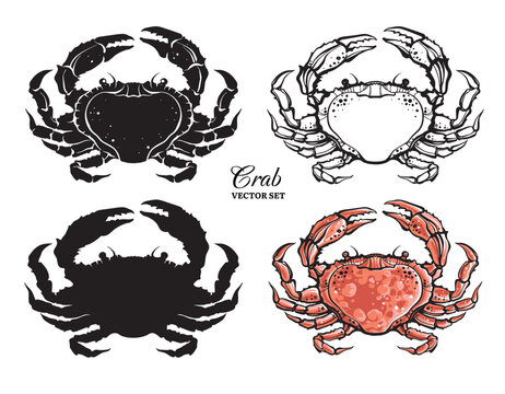 Stylized crabs vector set in different styles. Silhouette, line art contour and colorful graphic elements isolated on white background.