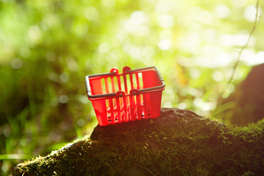 Shopping basket on green moss in the forest. Shallow depth of field