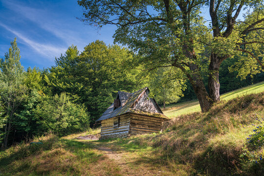 Old wooden log cabin on mountain slope in summer forest