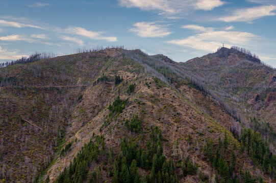 Aerial view of the McKenzie River burn scars showing charred forest slopes and recovering vegetation on the mountainside in Vida, Oregon, United States.