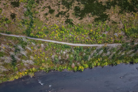 Aerial view of the McKenzie River burn scars showing a winding road through recovering forest landscape with patches of dead trees and new green growth in Vida, Oregon, United States.
