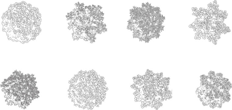 tree Canopy Plan View Collection, Hand Drawn Vector Trees for Landscape Architecture