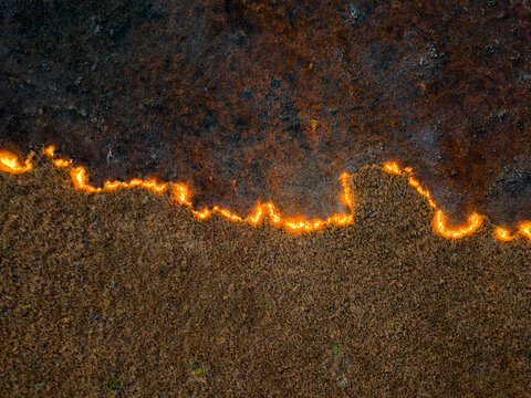 Aerial view of a wildfire burning across dry vegetation with bright orange flames consuming the landscape and leaving behind charred black earth in Tomia, South East Sulawesi, Indonesia.