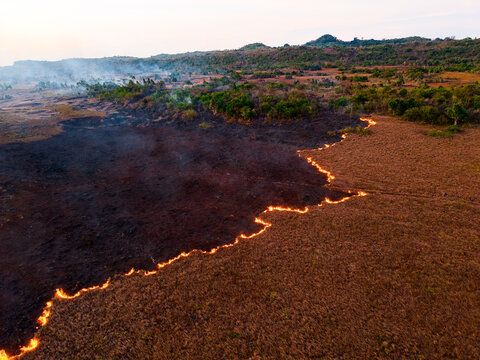 Aerial view of a wildfire burning through dry grasslands on Tomia island, with smoke rising and charred earth contrasting with the golden vegetation in Tomia, South East Sulawesi, Indonesia.