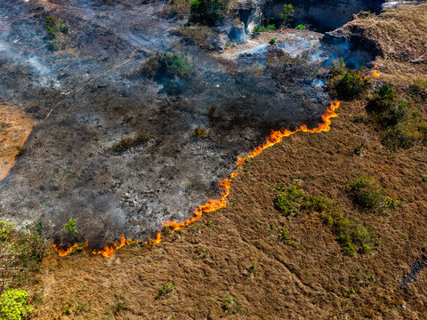 Aerial view of a wildfire burning through dry grass with flames spreading across the landscape, charred black ground, and smoke rising in Tomia, South East Sulawesi, Indonesia.