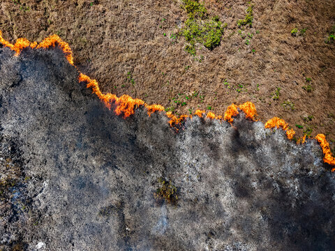 Aerial view of a grass fire spreading across dry vegetation, with bright orange flames consuming the landscape in Tomia, South East Sulawesi, Indonesia.