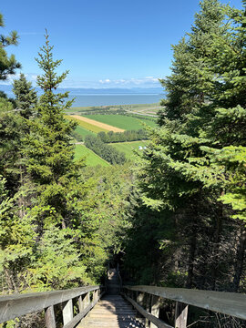 un escalier en bois dans la for&ecirc;t. Paysage de La Pocati&egrave;re, Qu&eacute;bec. Rural. 