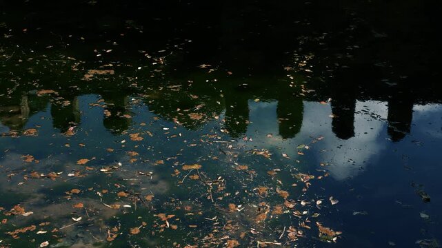 Horizontal 4K video showing the vivid reflection of an ancient stone wall in a pond covered with floating leaves and algae
