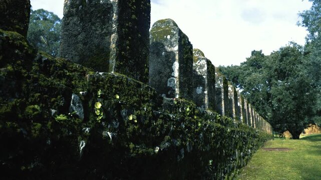 Low-angle horizontal 4K video showing a perspective view of an ancient stone wall covered with green moss and lichen surrounded by trees