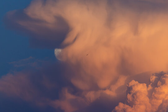  An incredibly beautiful cloud, glowing in the warm light of the setting sun, slowly and inevitably moves towards the moon. The cloud is slightly blurred to convey movement. Bird's silhouette.