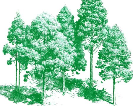 Green forest with tall trees and dense foliage in a sketchy, illustrative style