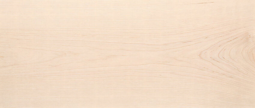Pale birch wood texture background with subtle knot swirl and smooth light grain for furniture flooring and interior design