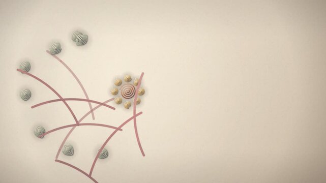 Paper Quilling Mandala Assembly Build Animation