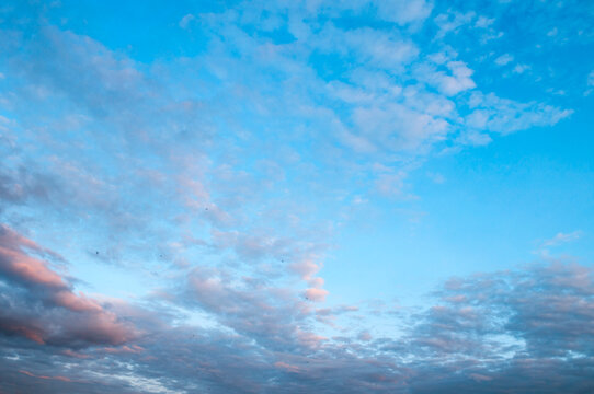Evening blue sky background with soft pink and grey clouds and gentle layered formations