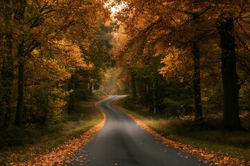 Fototapeta premium Winding country road through a tunnel of vibrant autumn trees with fallen leaves covering the asphalt