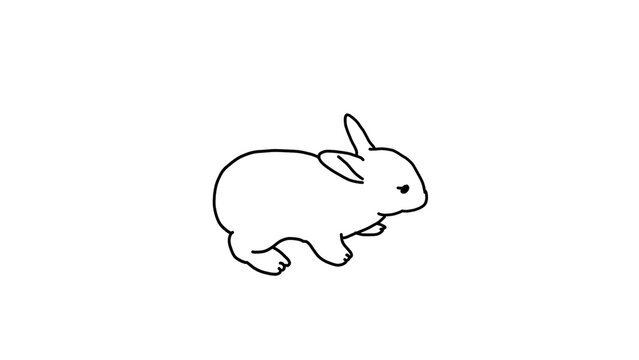 hand drawn vector illustration of a rabbit