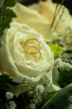 Anillos de matrimonio dorados 