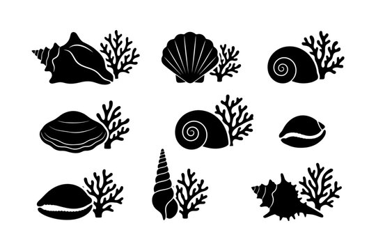 Black silhouettes of shells and coral on white background.