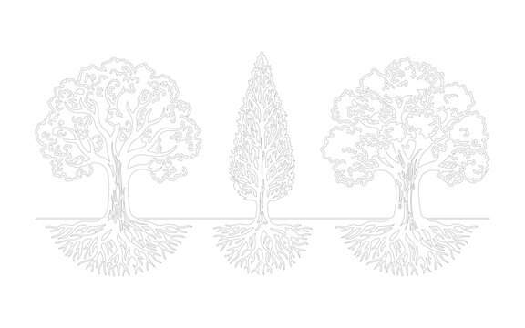 Set of three different trees with visible root systems in line art style