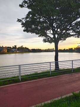 Lago paisagem