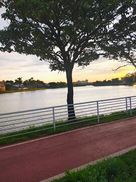 Lago paisagem
