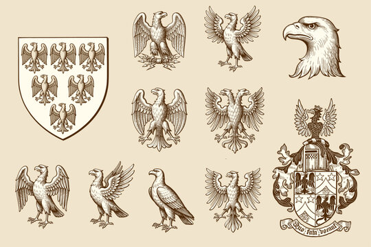 monochrome line-art engravings collection of heraldic eagles, illustrating various historic postures and forms including the Napoleonic eagle, and full coat-of-arms crest assemblies