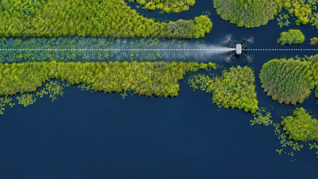 Agricultural drone spraying crops in wetland marsh with green vegetation from above