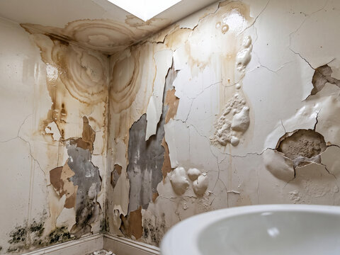 Water damage wall with peeling paint and mold growth in a neglected residential room
