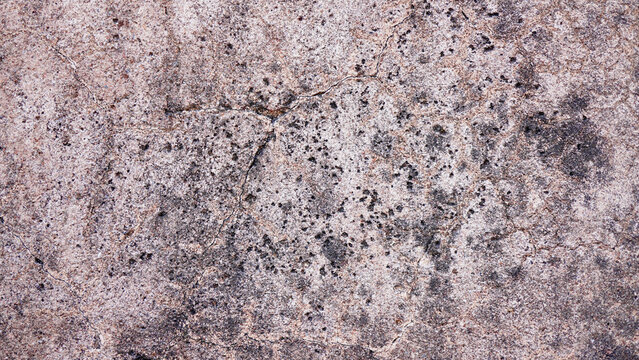 A macro image of a weathered concrete wall ideal for industrial design backdrops